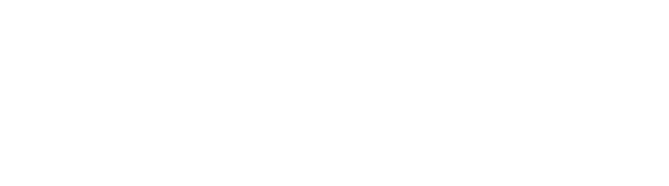 Logo-VameonFull-2